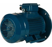 Электродвигатель 5АИ 112 М2 7.6/3000 IM 2081 01.01.214217