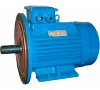 Электродвигатель 5АИ 132 S8 4/750 IM 2081 01.01.213745