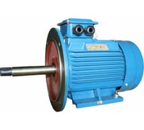 Электродвигатель 5АИ 160 S2Ж 15/3000 IM 2009 01.01.213568