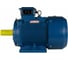 Электродвигатель 5АИ 160 S4 15/1500 IM 1001 01.01.213688 2