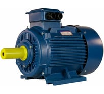 Электродвигатель 5АИ 200 L2 45/3000 IM 1001 01.01.213642