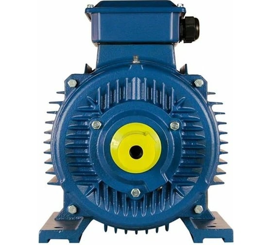 Электродвигатель 5АИ 200 L2 45/3000 IM 1001 01.01.213642