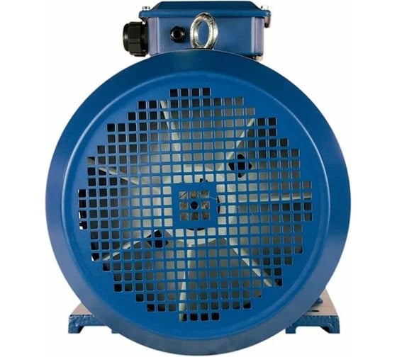 Электродвигатель 5АИ 200 L2 45/3000 IM 1001 01.01.213642