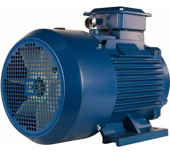 Электродвигатель 5АИ 200 L2 45/3000 IM 1001 01.01.213642