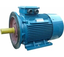 Электродвигатель 5АИ 200 L8 22/750 IM 2001 01.01.213654