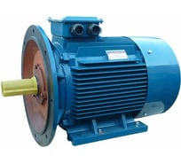 Электродвигатель 5АИ 225 М8 30/750 IM 2001 01.01.213664