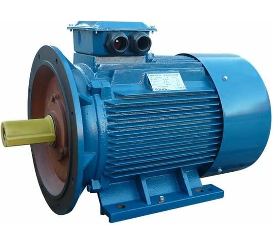 Электродвигатель 5АИ 250 М4 90/1500 IM 2001 01.01.213755 1