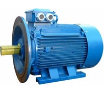 Электродвигатель 5АИ 280 М2 132/3000 IM 2001 01.01.214284