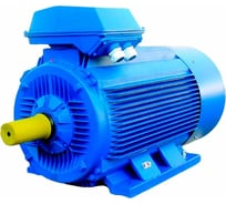 Электродвигатель 5АИ 355 S4 250/1500 IM 2001 01.01.220126