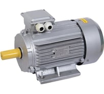 Электродвигатель 3ф 132S6 380В 5.5кВт 1000об/мин 1081 IEK АИР DRIVE DRV132-S6-005-5-1010 291075