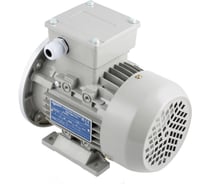 Трехфазный асинхронный электродвигатель INNORED 0.12 кВт, 1400 об/мин, 140х11 мм, на лапах, схема включения звезда/треугольник, 380/220 В, IP55 RM63M1-4 B35