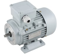 Трехфазный асинхронный электродвигатель INNORED 1.1 кВт, 1400 об/мин, 140х24 мм, на лапах, схема включения звезда/треугольник, 380 В/220 В, IP55 RM90S-4 B34