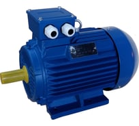 Электродвигатель ЭМШ AIS100L-2У1 3 кВт Х0000043705