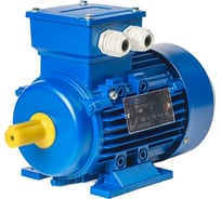 Электродвигатель ЭМШ AIS63М2-2У1 0.25 кВт Х0000043684