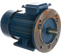 Электродвигатель ТМ БЭЗ АИР 80В2 IM2081 220/380 10601