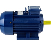 Электродвигатель ТМ БЭЗ АИР 100L4 IM1081 220/380 87662