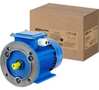 Электро двигатель TDM ELECTRIC АИР 63b6 0.25 квт, 1000 об/мин, 2081 SQ3001-0079