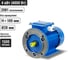Электро двигатель TDM ELECTRIC АИР 100l4 4 квт, 1500 об/мин, 2081 SQ3001-0072 2