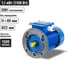 Электро двигатель TDM ELECTRIC АИР 80A4 1.1 квт, 1500 об/мин, 3081 SQ3001-0113 2