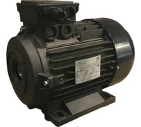 Мотор RAVEL ET H1000HP 6.1 4P MA AC KW 4.4 4P 1917А