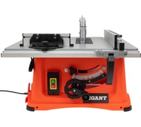 Распиловочный станок Gigant TSJ-254-2050