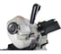 Ленточнопильный станок METALMASTER BSM-125 Vario 19877 4