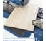 Плиткорез электрический 900 Вт Scheppach FS3600 5906706901 4