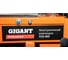 Электрический плиткорез Gigant Professional TCS-900 25