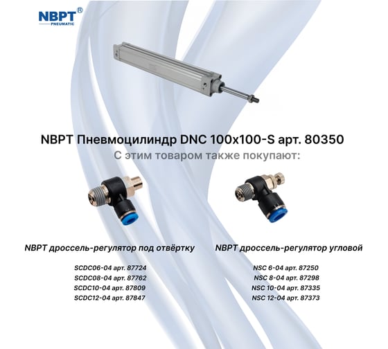 Пневмоцилиндр NBPT DNC 100x100-S 80350