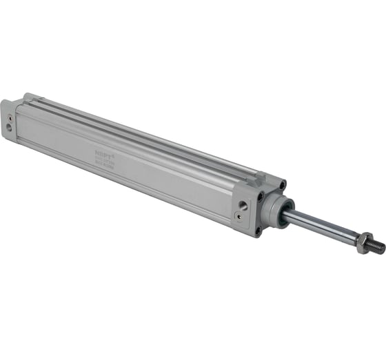 Пневмоцилиндр NBPT DNC 40x250-S 80497 1