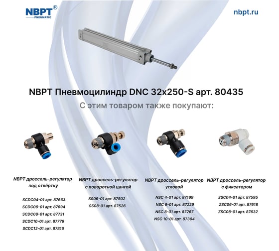 Пневмоцилиндр NBPT DNC 32x250-S 80435