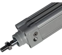 Пневмоцилиндр NBPT DNC 32x100-S 80404