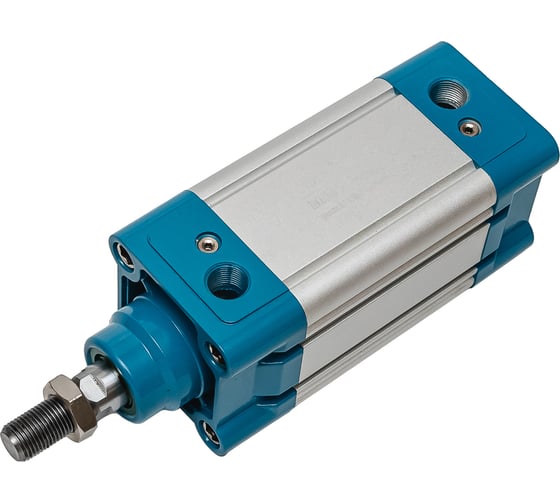 Пневмоцилиндр NBPT DNC 63x100-S 80589