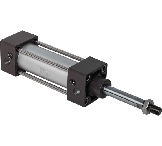 Пневмоцилиндр NBPT SC 125x50-S 81227 1