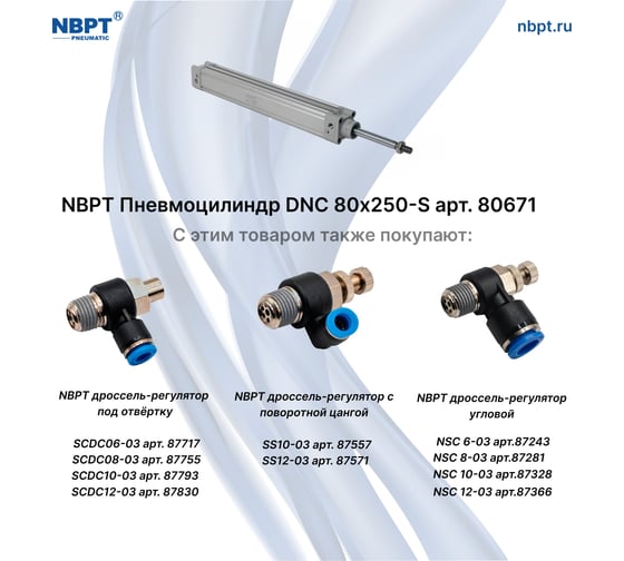 Пневмоцилиндр NBPT DNC 80x250-S 80671