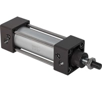 Пневмоцилиндр NBPT SC 80x100-S 81647