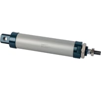 Пневмоцилиндр NBPT MAL 25x100-S 80879