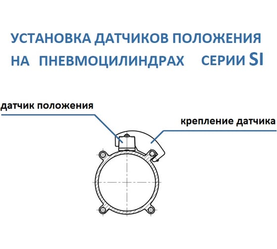 Пневмоцилиндр NBPT SI 80x100-S 82132