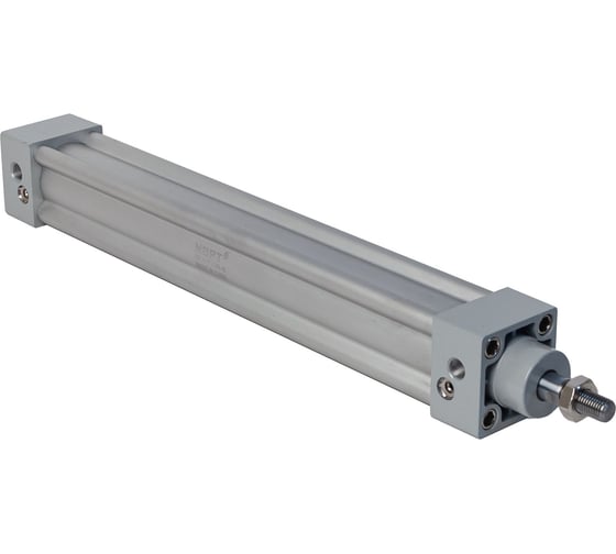 Пневмоцилиндр NBPT SI 100x50-S 81838 1