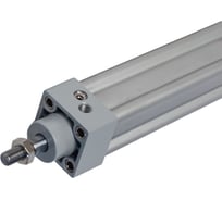 Пневмоцилиндр NBPT SI 32x100-S 81852