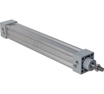 Пневмоцилиндр NBPT SI 50x100-S 81999