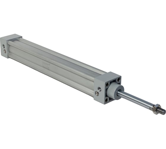 Пневмоцилиндр NBPT SI 40x100-S 81920 1
