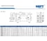Пневмоцилиндр NBPT SI 100x150-S 81791 3