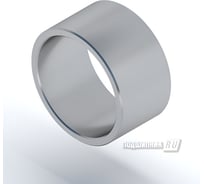 Кольцо DINROLL IR17x22x16 2001001414078