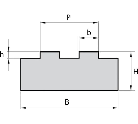 Направляющая для цепи ISKRA 08B-2 тип 2T H=10, NC08b2T10-ISKRA