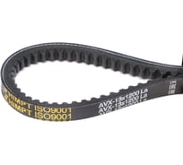 Клиновой ремень HIMPT AVX13-1200 La (11x10-1180 lp) зуб. 00-00000767