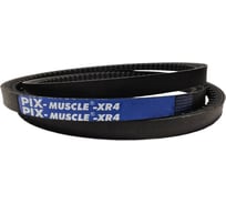 Узкий клиновой ремень PIX усиленный, XPZ 800 Lw Muscle XR4 epdm 00-00035002