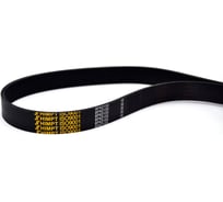 Поликлиновой ремень HIMPT 8PK-2155 00-00000597