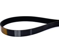 Поликлиновой ремень HIMPT 8РК-1250 00-00007058