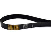 Поликлиновой ремень HIMPT 8PK-1445 00028011404